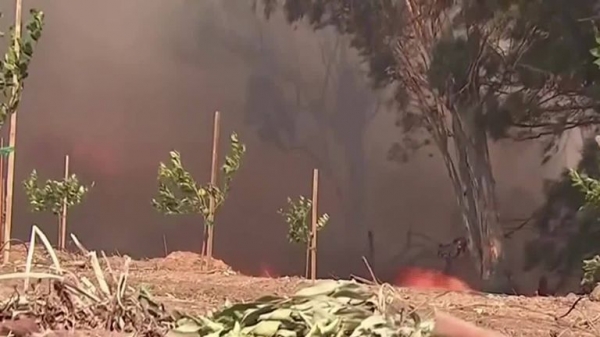 
                              Greta Thunberg meets Leonardo DiCaprio as LA loses its cool over newfound star
                      